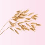 BleOats_S オーツ麦